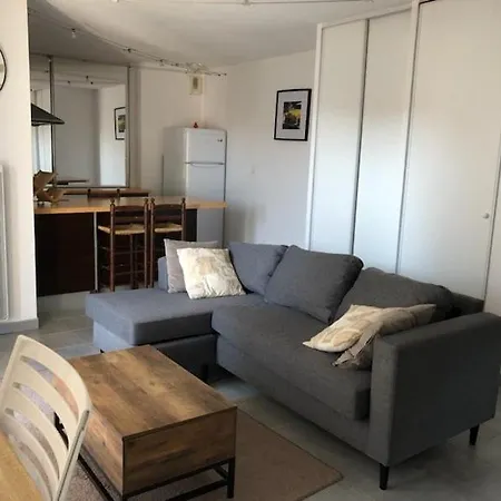 Proche Stade Toulousain - Blagnac - Parking Apartment Toulouse